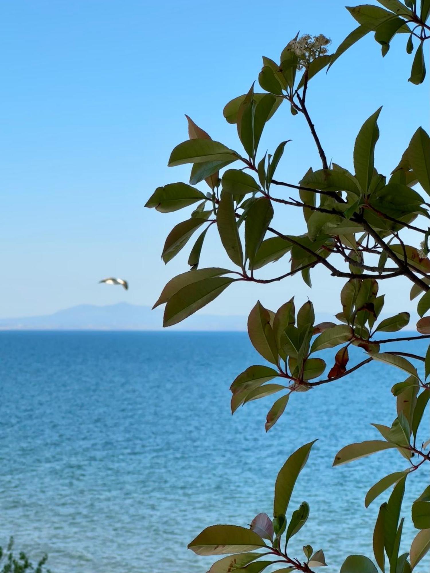 Filoxenia Paralia Katerinis